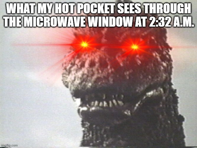 what my hotpocket sees | WHAT MY HOT POCKET SEES THROUGH THE MICROWAVE WINDOW AT 2:32 A.M. | image tagged in hotpocket,fun | made w/ Imgflip meme maker