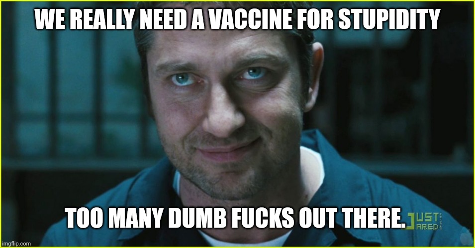 The real pandemic. | WE REALLY NEED A VACCINE FOR STUPIDITY; TOO MANY DUMB FUCKS OUT THERE. | image tagged in gerard butler | made w/ Imgflip meme maker