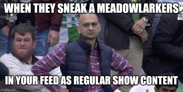 Disappointed | WHEN THEY SNEAK A MEADOWLARKERS; IN YOUR FEED AS REGULAR SHOW CONTENT | image tagged in disappointed | made w/ Imgflip meme maker