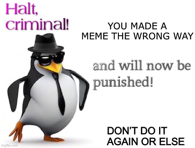 halt criminal! | YOU MADE A MEME THE WRONG WAY DON’T DO IT AGAIN OR ELSE | image tagged in halt criminal | made w/ Imgflip meme maker