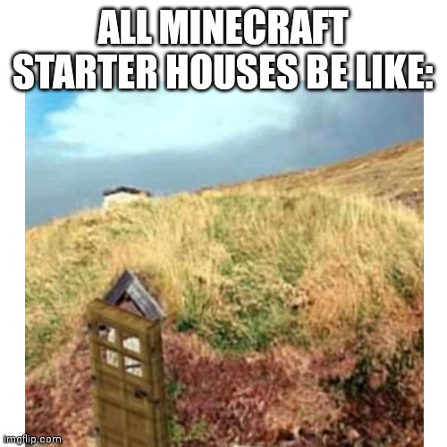 Unless you are Dream | ALL MINECRAFT STARTER HOUSES BE LIKE: | image tagged in minecraft,minecraft memes,gaming,video games,noob | made w/ Imgflip meme maker