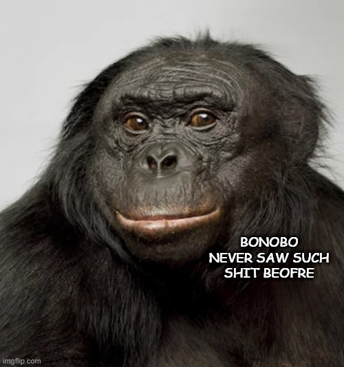 Free Templates for you guys #1 |  BONOBO NEVER SAW SUCH SHIT BEOFRE | image tagged in bonobo is smarter | made w/ Imgflip meme maker