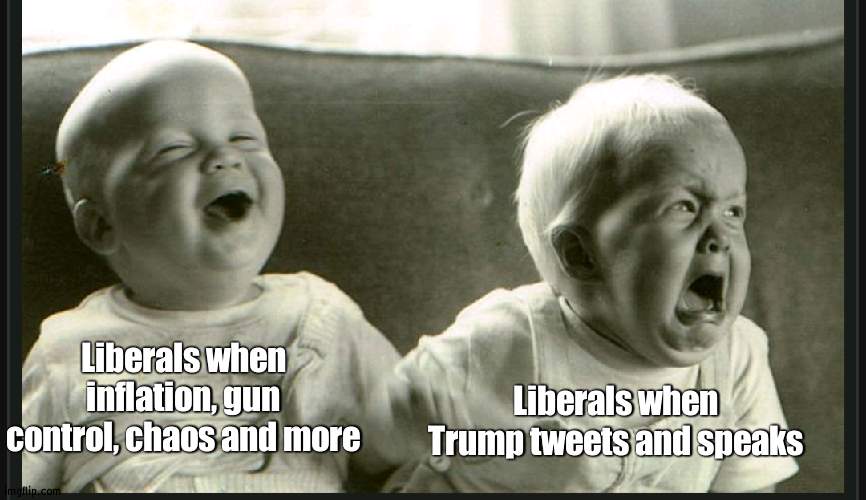 Triggered over the little, less important things | Liberals when inflation, gun control, chaos and more; Liberals when Trump tweets and speaks | image tagged in laugh cry twin babies,liberals,triggered | made w/ Imgflip meme maker