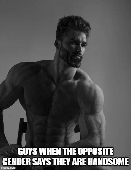 Giga Chad | GUYS WHEN THE OPPOSITE GENDER SAYS THEY ARE HANDSOME | image tagged in giga chad | made w/ Imgflip meme maker