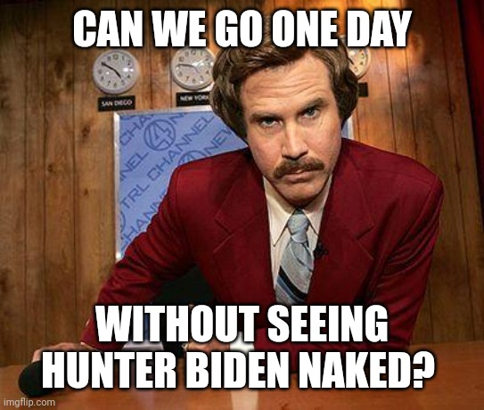 Well, can we? | CAN WE GO ONE DAY; WITHOUT SEEING HUNTER BIDEN NAKED? | image tagged in ron burgundy | made w/ Imgflip meme maker