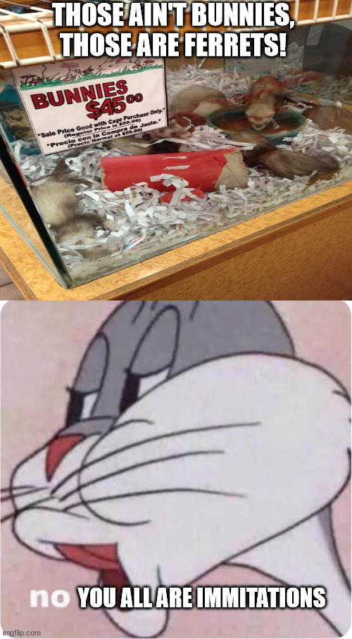 Really? | THOSE AIN'T BUNNIES, THOSE ARE FERRETS! YOU ALL ARE IMMITATIONS | image tagged in bugs bunny no | made w/ Imgflip meme maker
