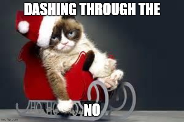 christmas cat |  DASHING THROUGH THE; NO | image tagged in grumpy cat christmas | made w/ Imgflip meme maker