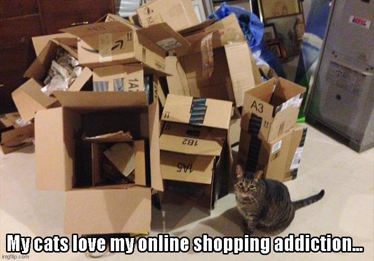 image tagged in cats | made w/ Imgflip meme maker