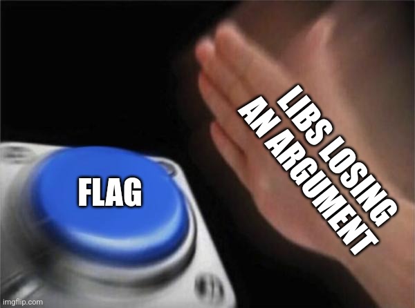 Blank Nut Button | LIBS LOSING AN ARGUMENT; FLAG | image tagged in memes,blank nut button | made w/ Imgflip meme maker
