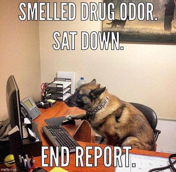 image tagged in dogs | made w/ Imgflip meme maker