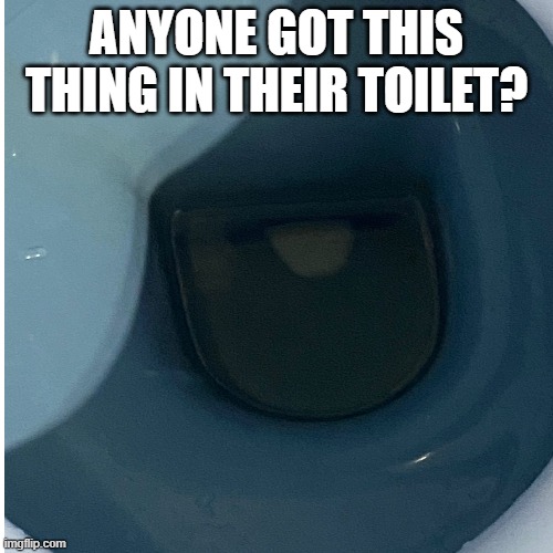 help | ANYONE GOT THIS THING IN THEIR TOILET? | image tagged in meme | made w/ Imgflip meme maker