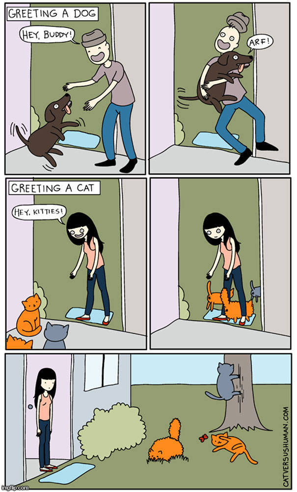 image tagged in comics | made w/ Imgflip meme maker
