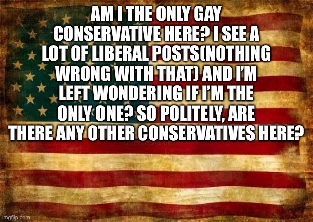 Old American Flag | AM I THE ONLY GAY CONSERVATIVE HERE? I SEE A LOT OF LIBERAL POSTS(NOTHING WRONG WITH THAT) AND I’M LEFT WONDERING IF I’M THE ONLY ONE? SO POLITELY, ARE THERE ANY OTHER CONSERVATIVES HERE? | image tagged in old american flag | made w/ Imgflip meme maker