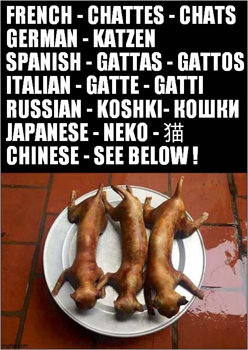 Cats In Different Languages & Cultures ! | FRENCH - CHATTES - CHATS

GERMAN - KATZEN
SPANISH - GATTAS - GATTOS
ITALIAN - GATTE - GATTI 
RUSSIAN - KOSHKI- КОШКИ
JAPANESE - NEKO - 猫 
CHINESE - SEE BELOW ! | image tagged in cats,words,language,culture,dark humour | made w/ Imgflip meme maker