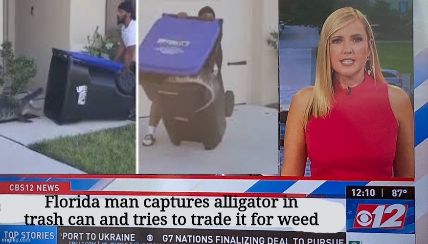 Florida man is on the loose | Florida man captures alligator in trash can and tries to trade it for weed | image tagged in florida man,its time to stop,alligators | made w/ Imgflip meme maker