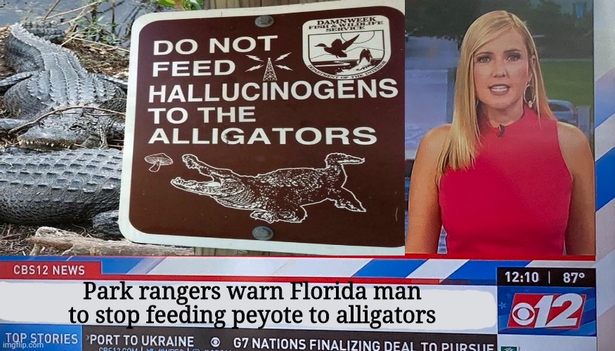 It's time to stop | Park rangers warn Florida man to stop feeding peyote to alligators | image tagged in stop,its time to stop,florida man,loves,alligators | made w/ Imgflip meme maker