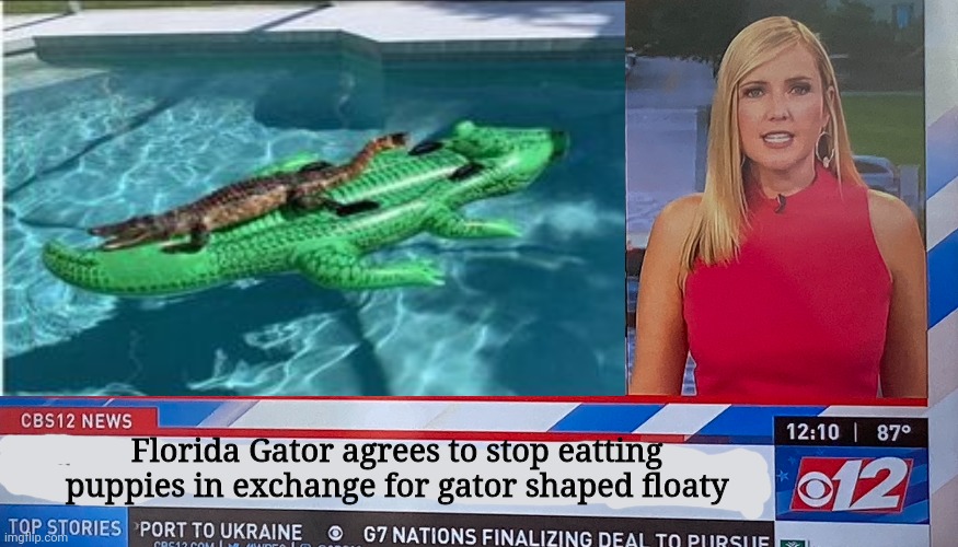 Florida Gator strikes back | Florida Gator agrees to stop eatting puppies in exchange for gator shaped floaty | image tagged in florida man,florida,gators,alligators,need food too | made w/ Imgflip meme maker