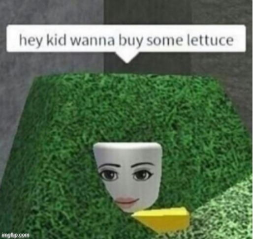 Boblox lettuce bush scam | image tagged in lettuce | made w/ Imgflip meme maker