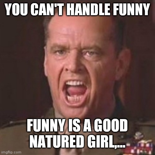 You can't handle the truth | YOU CAN'T HANDLE FUNNY FUNNY IS A GOOD NATURED GIRL,... | image tagged in you can't handle the truth | made w/ Imgflip meme maker