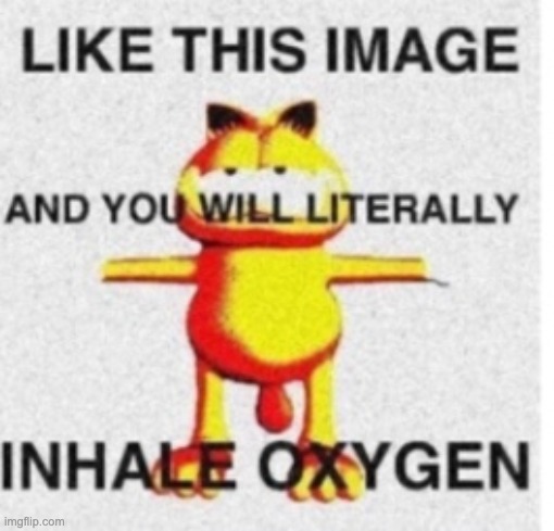 gorfield | image tagged in oxygen | made w/ Imgflip meme maker