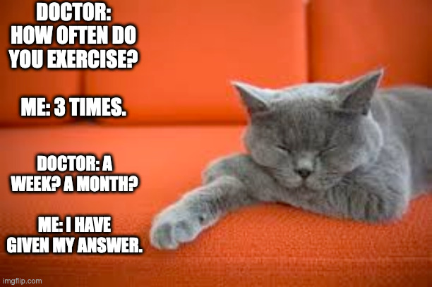 allergic to exercise cat | DOCTOR: HOW OFTEN DO YOU EXERCISE?                        
ME: 3 TIMES. DOCTOR: A WEEK? A MONTH?       ME: I HAVE GIVEN MY ANSWER. | image tagged in lazy cat,hate exercise,fat cat | made w/ Imgflip meme maker