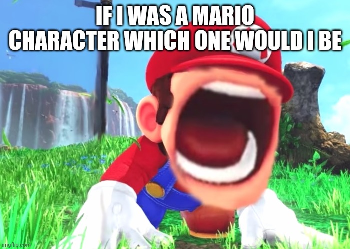 Mario screaming | IF I WAS A MARIO CHARACTER WHICH ONE WOULD I BE | image tagged in mario screaming | made w/ Imgflip meme maker