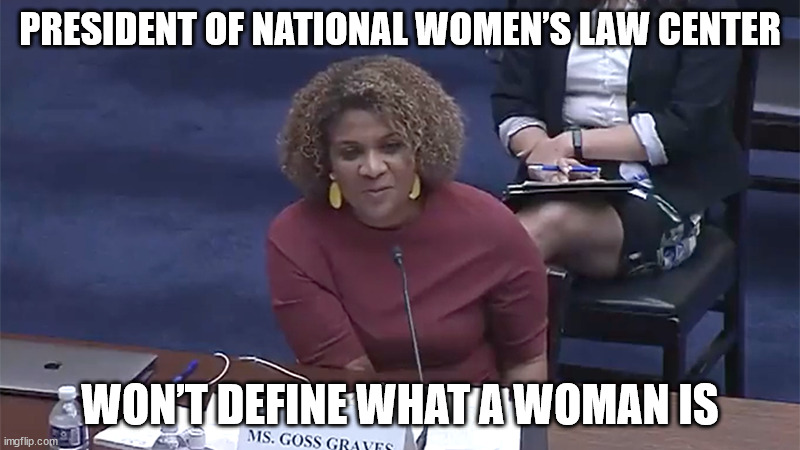 President Of National Women’s Law Center Won’t Define What A Woman Is | PRESIDENT OF NATIONAL WOMEN’S LAW CENTER; WON’T DEFINE WHAT A WOMAN IS | image tagged in woman,law center | made w/ Imgflip meme maker