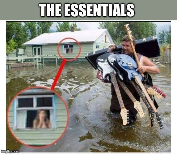 THE ESSENTIALS | image tagged in funny memes | made w/ Imgflip meme maker