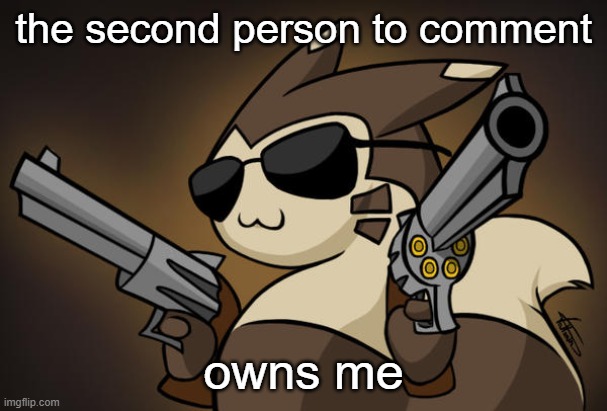 Badass furret | the second person to comment; owns me | image tagged in badass furret | made w/ Imgflip meme maker