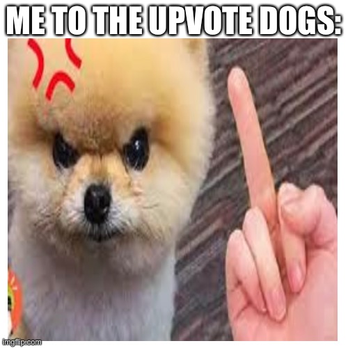 Take the L upvote doges | ME TO THE UPVOTE DOGS: | image tagged in loser upvote dogs | made w/ Imgflip meme maker