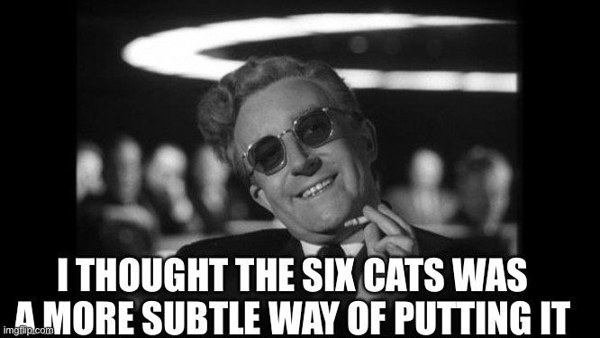 dr strangelove | I THOUGHT THE SIX CATS WAS A MORE SUBTLE WAY OF PUTTING IT | image tagged in dr strangelove | made w/ Imgflip meme maker