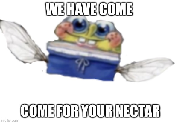 We have come for your nectar Imgflip
