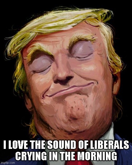 I LOVE THE SOUND OF LIBERALS
CRYING IN THE MORNING | made w/ Imgflip meme maker