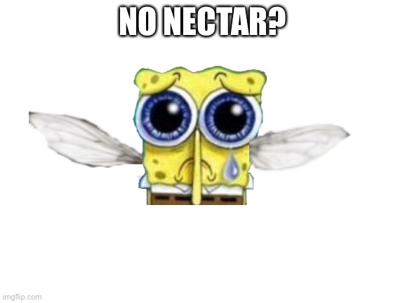 Blank White Template | NO NECTAR? | image tagged in blank white template | made w/ Imgflip meme maker