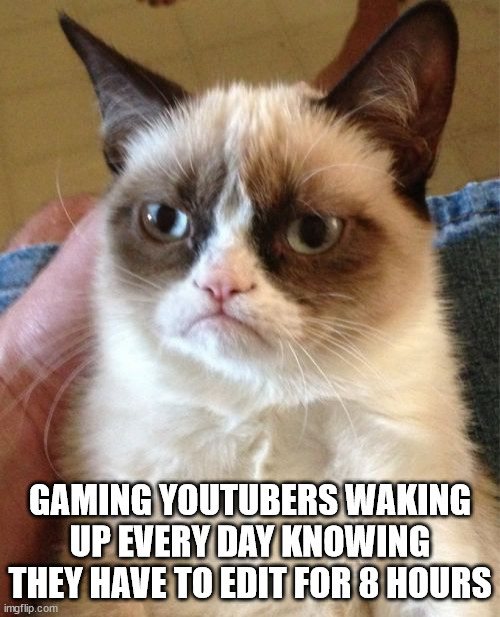 Relatable | GAMING YOUTUBERS WAKING UP EVERY DAY KNOWING THEY HAVE TO EDIT FOR 8 HOURS | image tagged in memes,grumpy cat | made w/ Imgflip meme maker