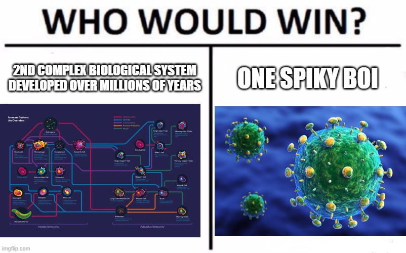 Who Would Win? | 2ND COMPLEX BIOLOGICAL SYSTEM DEVELOPED OVER MILLIONS OF YEARS; ONE SPIKY BOI | image tagged in memes,who would win | made w/ Imgflip meme maker