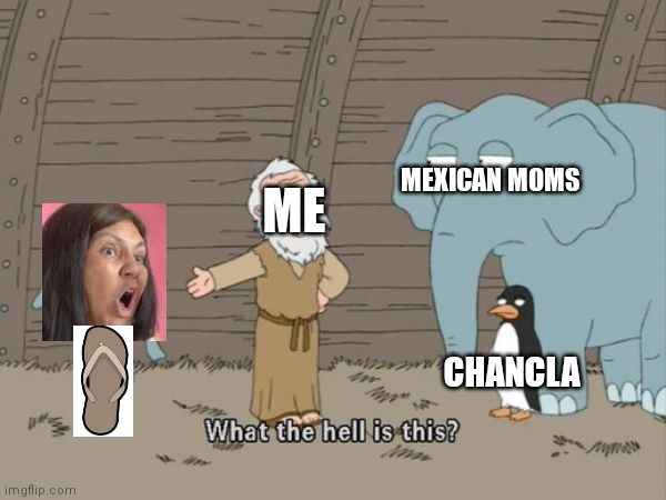 What the hell is this? | MEXICAN MOMS; ME; CHANCLA | image tagged in what the hell is this | made w/ Imgflip meme maker