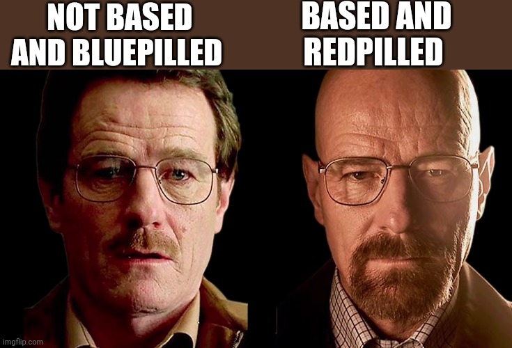 BASED AND REDPILLED; NOT BASED AND BLUEPILLED | made w/ Imgflip meme maker