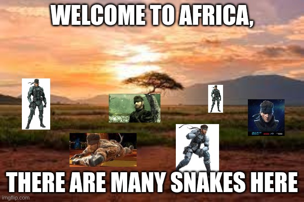 WELCOME TO AFRICA, THERE ARE MANY SNAKES HERE | image tagged in metal gear solid,snake | made w/ Imgflip meme maker