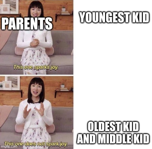 meme8 | PARENTS; YOUNGEST KID; OLDEST KID AND MIDDLE KID | image tagged in this one sparks joy,idk | made w/ Imgflip meme maker