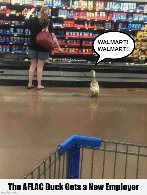 The AFLAC Duck Gets a New Employer | image tagged in aflac,aflac duck,duck,walmart,memes,funny | made w/ Imgflip meme maker