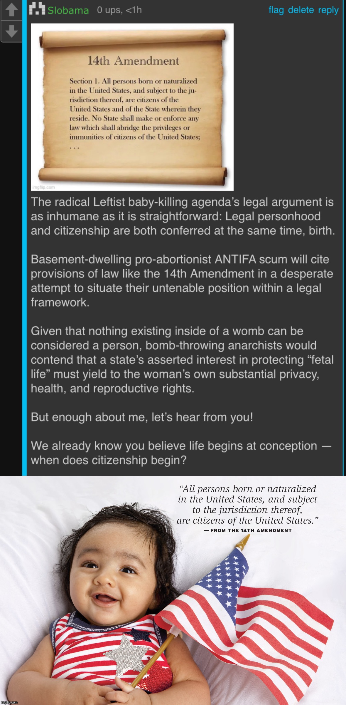 The straightforward legal case for abortion rights, served with a heaping helping of unnecessary stock right-wing vitriol | image tagged in sloth roast pro-choice,14th amendment birthright citizenship,pro-choice,abortion,human rights,womens rights | made w/ Imgflip meme maker