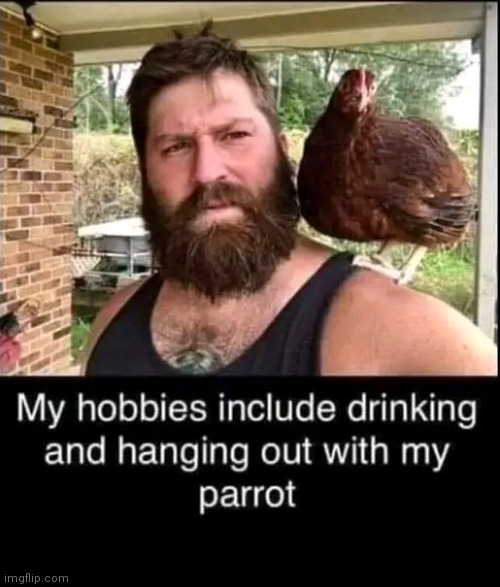 Me and my buddie | image tagged in pets,bird | made w/ Imgflip meme maker