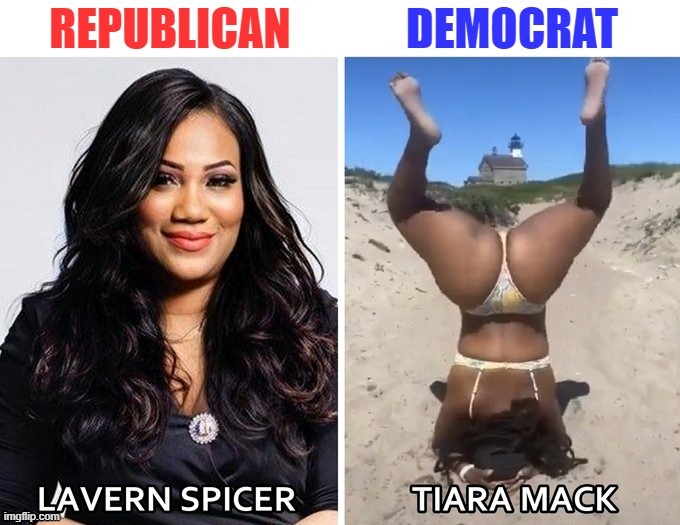 The choice is clear | image tagged in republicans,democrats,twerk,twerking,florida,conservatives | made w/ Imgflip meme maker