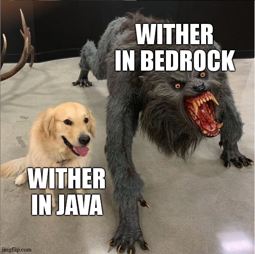 dog vs werewolf | WITHER IN BEDROCK WITHER IN JAVA | image tagged in dog vs werewolf | made w/ Imgflip meme maker