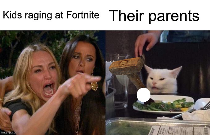 Umm | Kids raging at Fortnite; Their parents | image tagged in memes,woman yelling at cat | made w/ Imgflip meme maker
