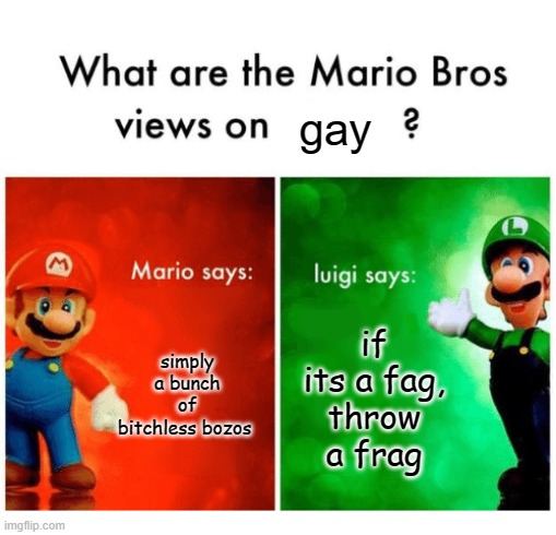 Mario bros views | gay simply a bunch of bitchless bozos if its a fag, throw a frag | image tagged in mario bros views | made w/ Imgflip meme maker