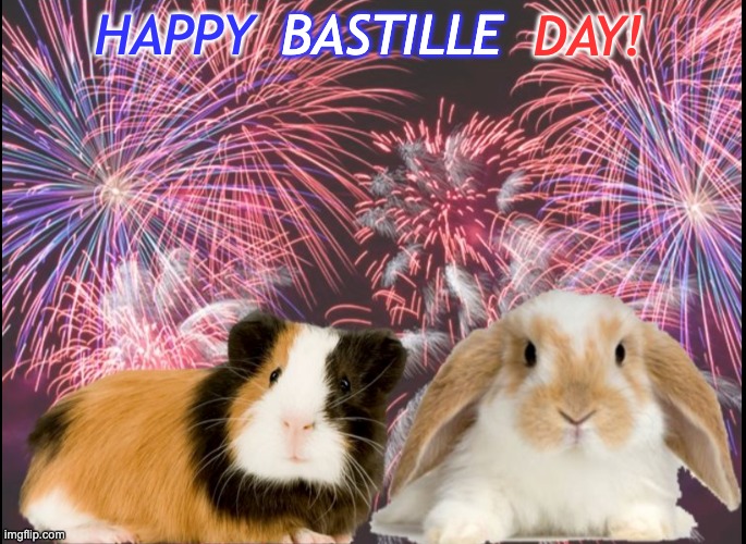 BASTILLE; DAY! HAPPY | image tagged in guinea pig,holidays | made w/ Imgflip meme maker