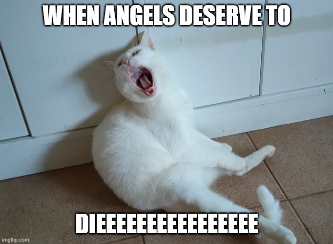 LILIKA | WHEN ANGELS DESERVE TO; DIEEEEEEEEEEEEEEEE | image tagged in cat,system of a down | made w/ Imgflip meme maker