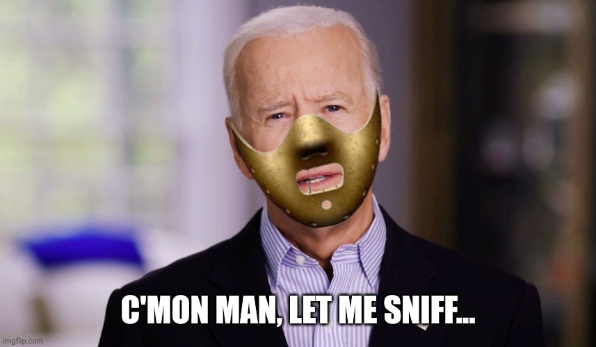 Joe Biden 2020 | C'MON MAN, LET ME SNIFF... | image tagged in joe biden 2020 | made w/ Imgflip meme maker